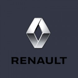 Vopsea Auto Renault