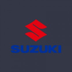 Vopsea Auto Suzuki