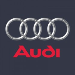 Vopsea Auto Audi