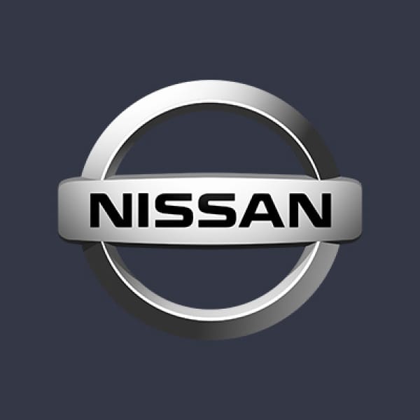 Vopsea Auto Nissan