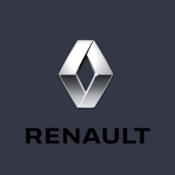 Creion Corector Vopsea Auto Marca VALSPAR DEBEER  Preparata La Culoarea Masinii RENAULT