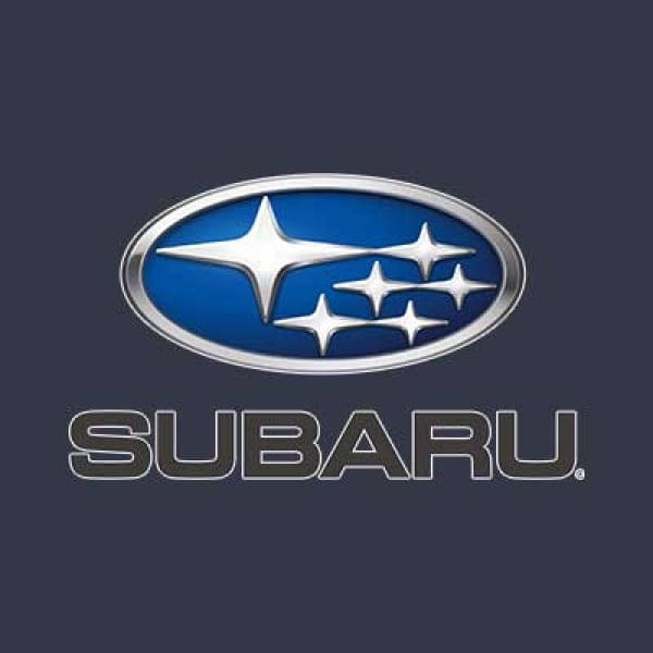 Creion Corector Vopsea Auto Marca VALSPAR DEBEER  Preparata La Culoarea Masinii Subaru